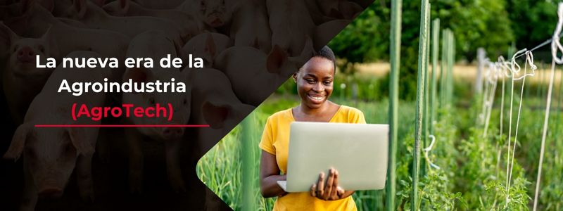 Herramientas Digitales para el Éxito en la Agroindustria