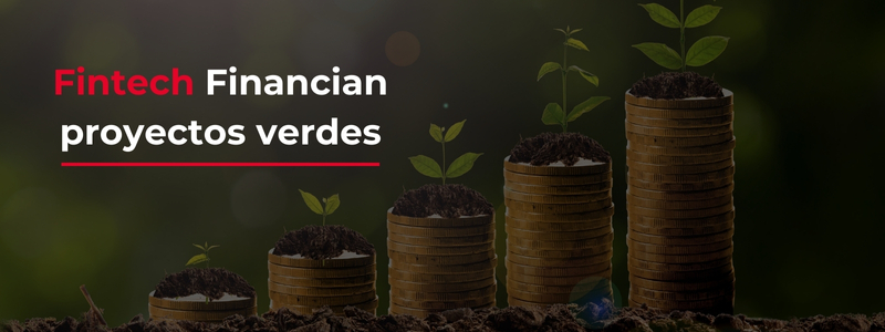 Fintech Verde: Créditos que Financian un Futuro Sostenible