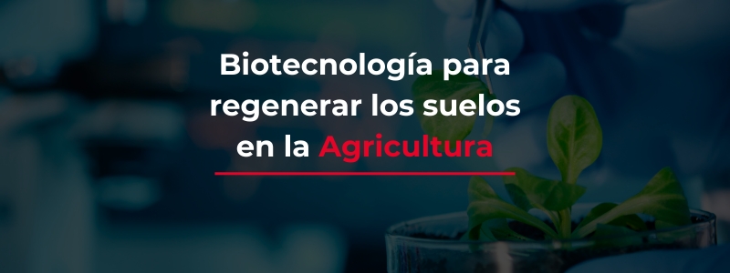 Microbios modificados genéticamente transforman el Agro