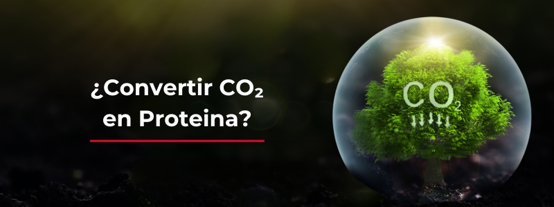 Transformación de CO₂ en Proteína Sustentable